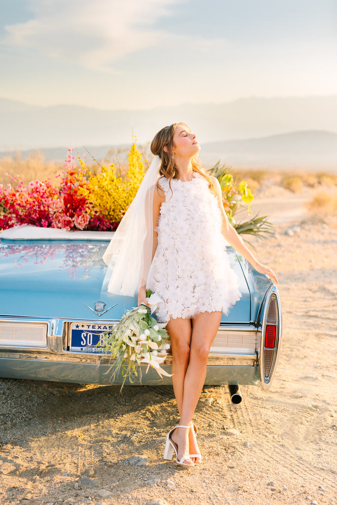 The Mary Costa Collection