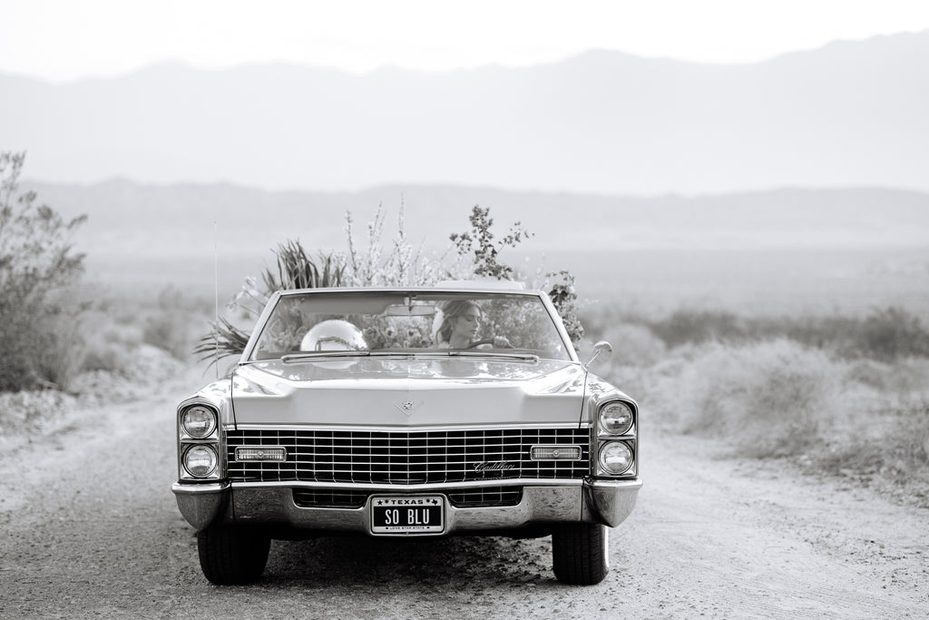 The Mary Costa Collection