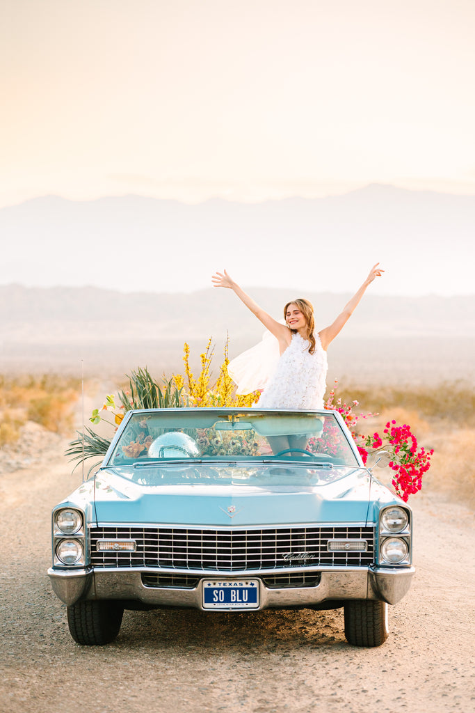 The Mary Costa Collection