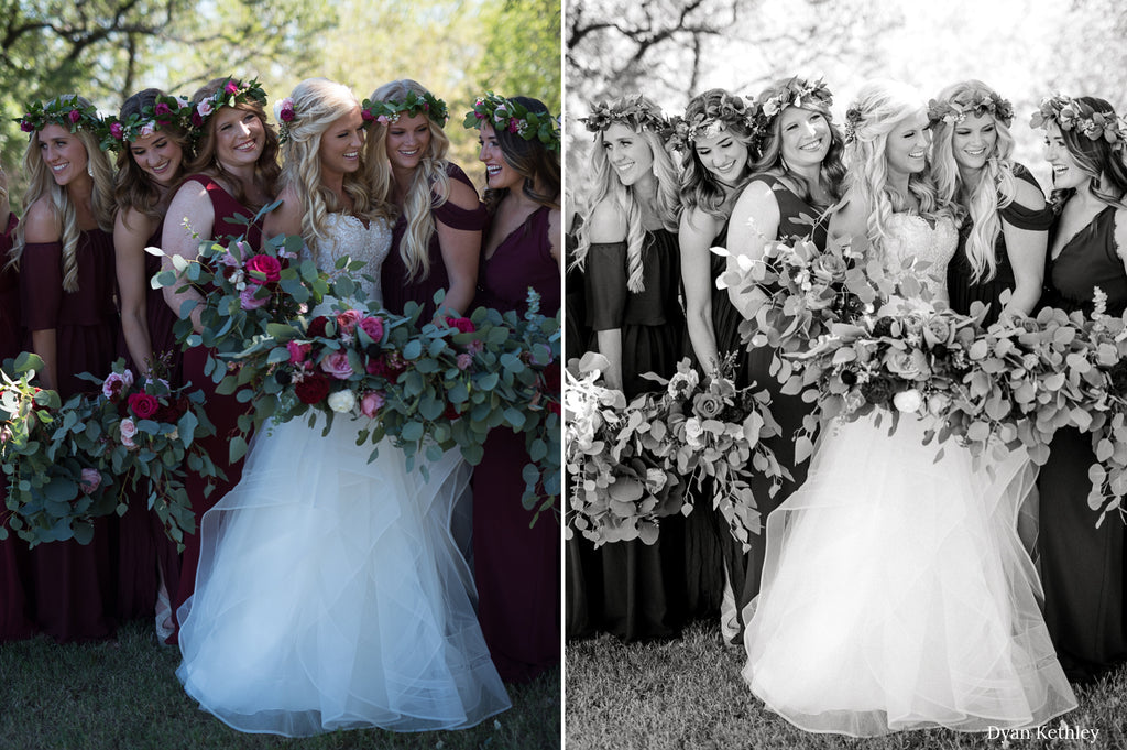 Kindred Black & White