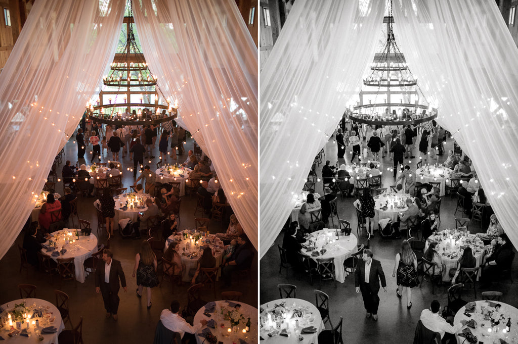 Kindred Black & White