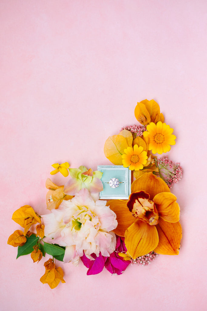 The Main Character - KINDRED X MARY COSTA